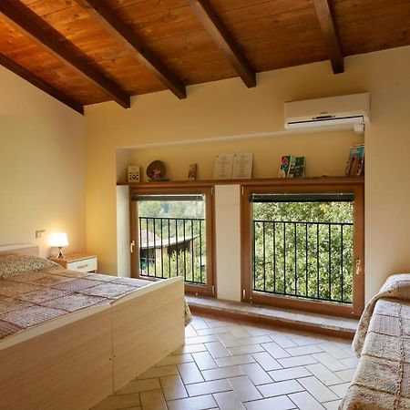 Agriturismo Ca' Del Ciuco Vezzano sul Crostolo Exteriér fotografie