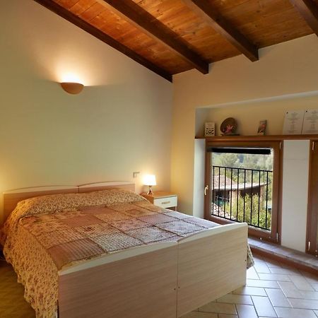 Agriturismo Ca' Del Ciuco Vezzano sul Crostolo Exteriér fotografie
